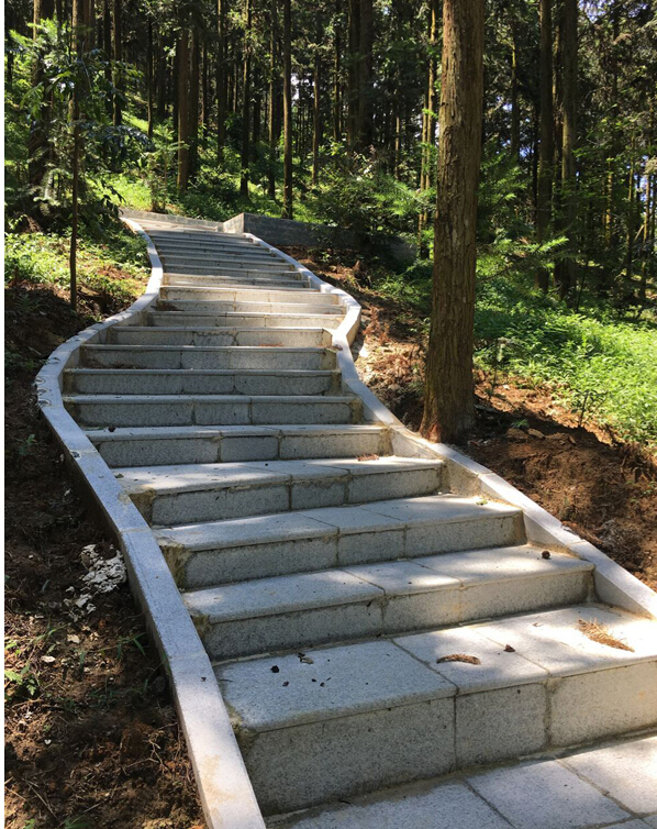 桉树示范区,杉木示范区三个点建设,建设内容为新建台阶220米,台阶材料