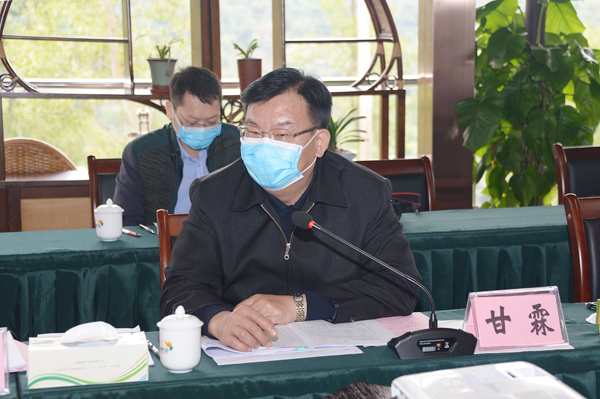 自治区文化旅游厅厅长甘霖