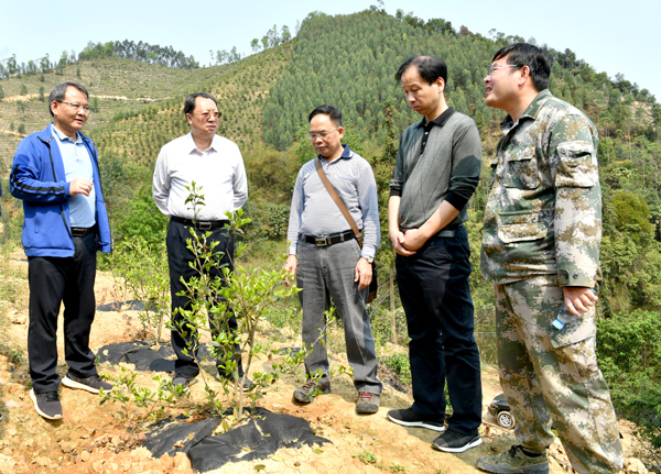 刘涛强调要坚持建设"精品林"助推营林质量提升